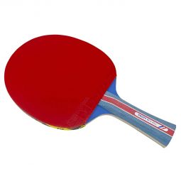 Raquettes de ping pong