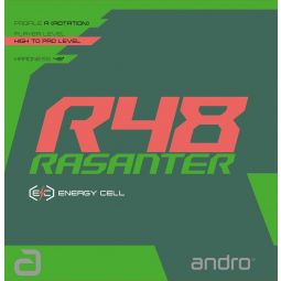 Revêtement ANDRO RASANTER R48