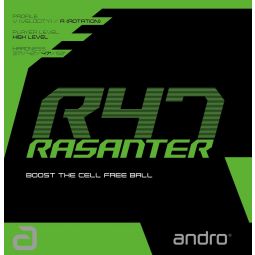 Revêtement ANDRO RASANTER R47