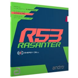 Revêtement ANDRO RASANTER R53