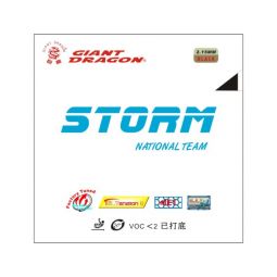 Revêtement GIANT STORM NATIONAL TEAM