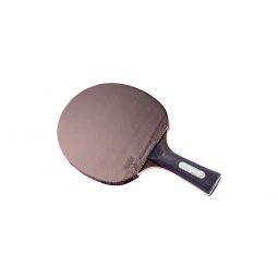 Raquette de Tennis de Table Professionnelle avec étui, Approuvé par ITTF  Pingpong Raquette Paddle avec 9-Ply Bois et 8 Couches Lame de Carbone :  : Sports et Loisirs