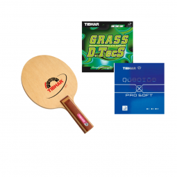 Raquette Tibhar IV-C + Grass dtechs + Quantum X pro soft