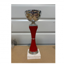 Coupe rouge 21cm