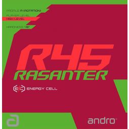 Revêtement ANDRO RASANTER R45