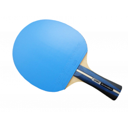 Ping Pong Paddle Double Raquette Tennis de Table Raquette Set avec Sac de  Raquette 5 Tennis de Table pour Débutants et Jeux de Divertissement Tennis  de Table Paddle Set (Couleur : Noir