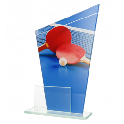 Trophée verre DG1 21cm