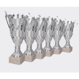 Coupe plastique Argent  W975D